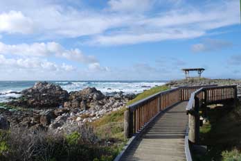 Asilomar State Beach, Pacific Grove, CA