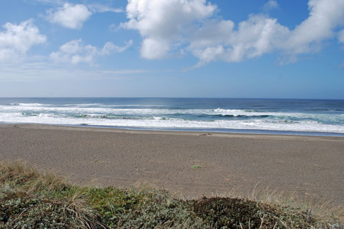 Manchester Beach, Mendocino County, CA