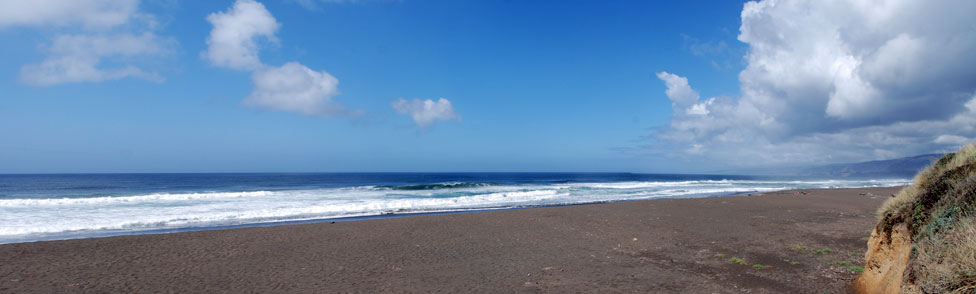 Manchester Beach, Mendocino County, California