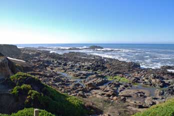 Tide Pools at Bean Hollow Beach, San Mateo County, CA