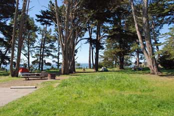 New Brighton Beach Camping - mobile