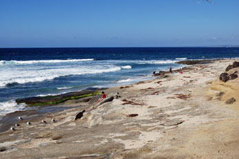 La Jolla Tidepools, La Jolla, CA