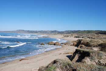 north coast of Ano Nuevo, CA