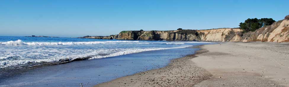 Ano Nuevo State Park, San Mateo County, California